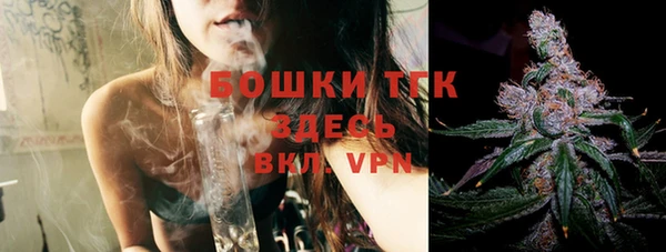 тгк Богородицк