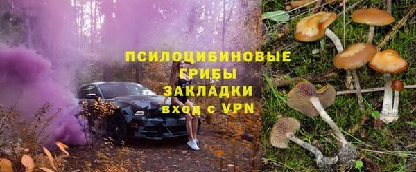 тгк Богородицк