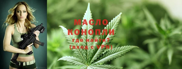 тгк Богородицк