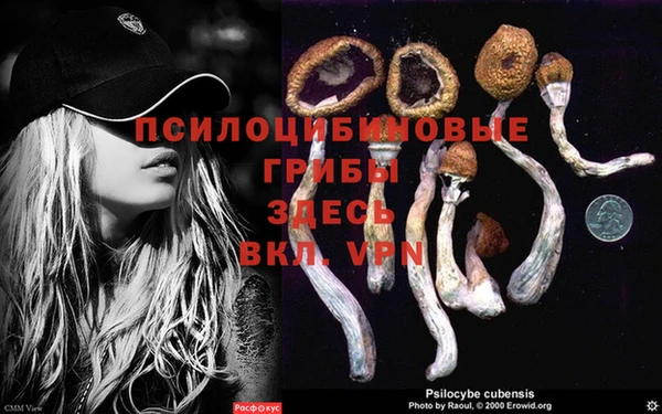 не бодяженный Богородск