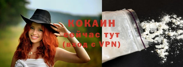 тгк Богородицк