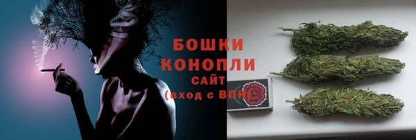 тгк Богородицк