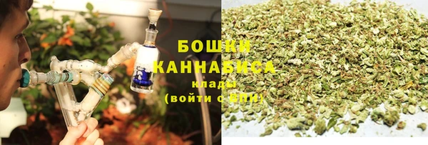 тгк Богородицк